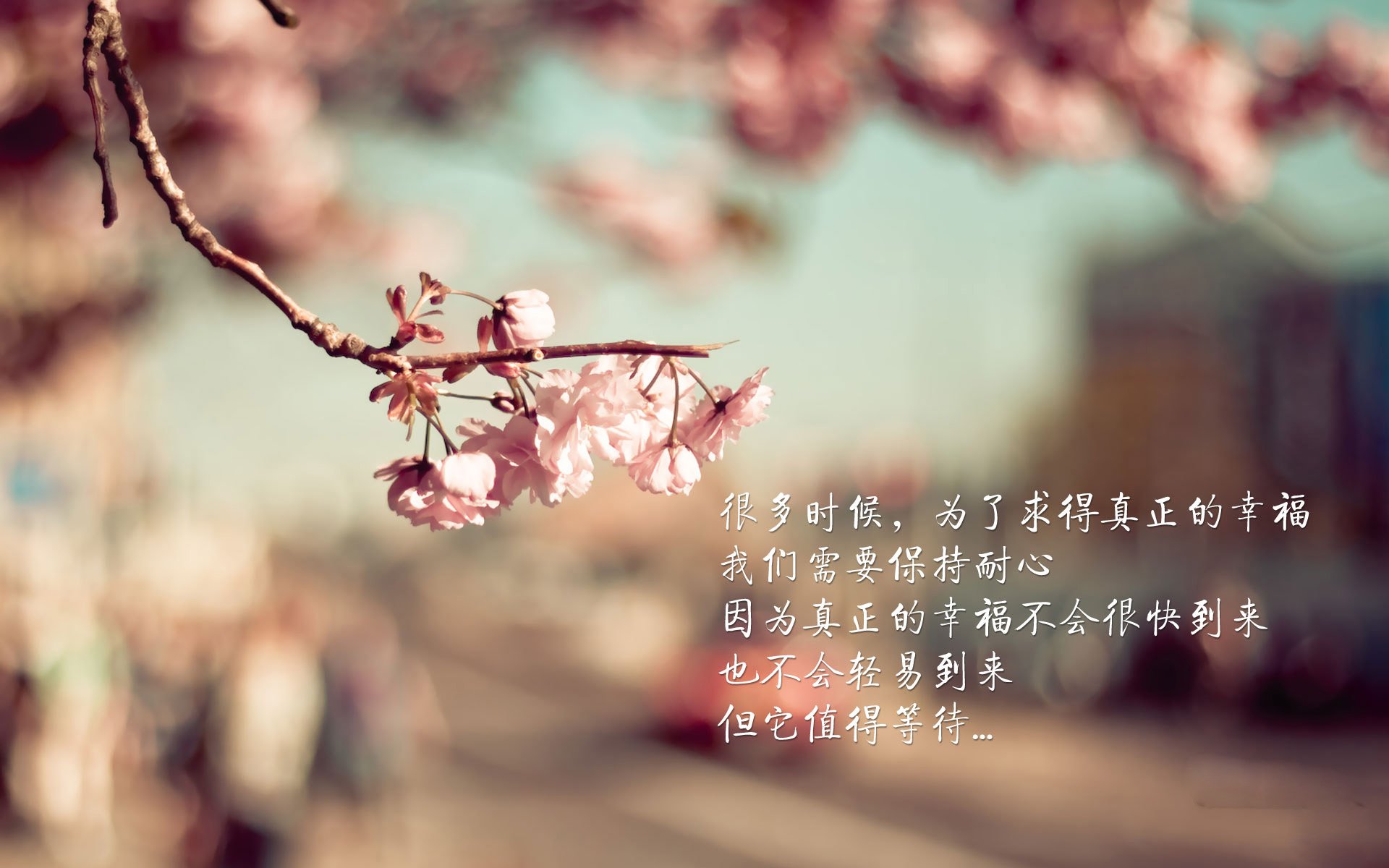 吉达联合主场爆满堪比欧冠气氛，吉达属于哪个国家