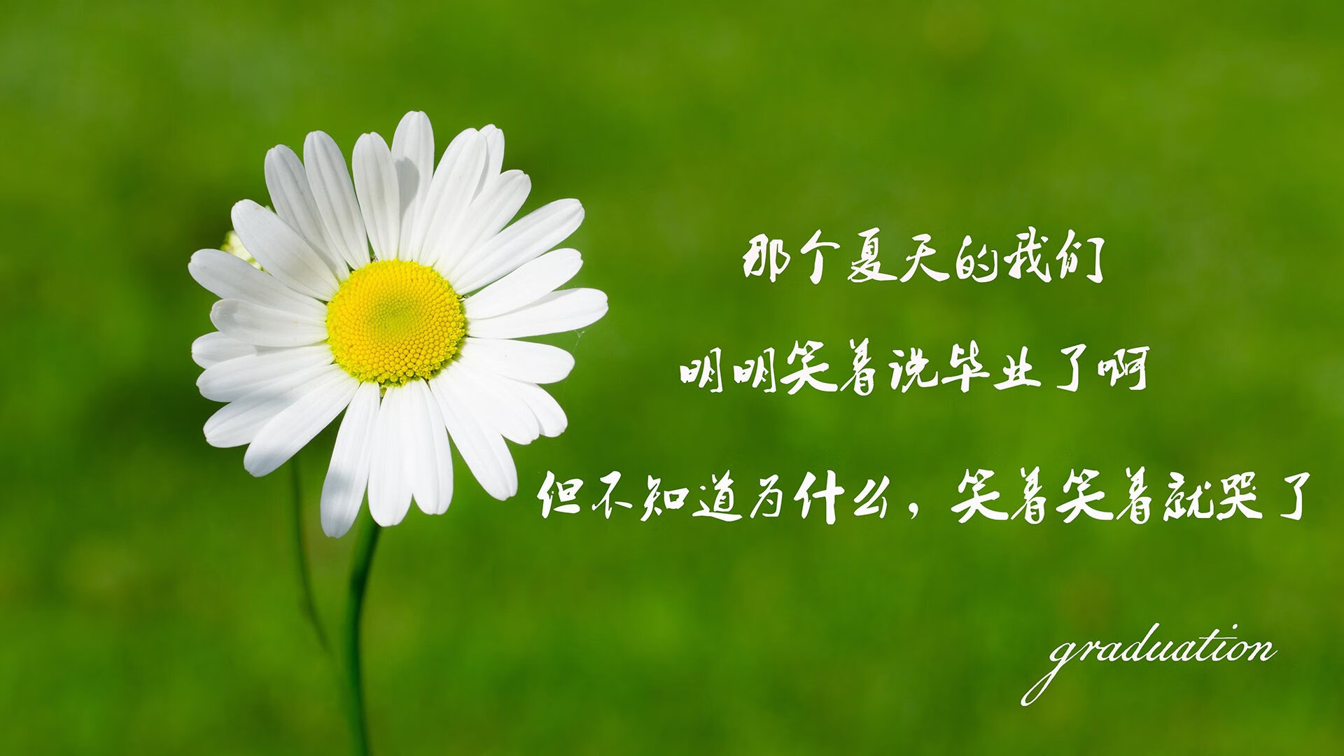 乐鱼体育(中国)官方网站-布莱梅主场大捷，德甲争冠气势如虹，布莱斯梅西