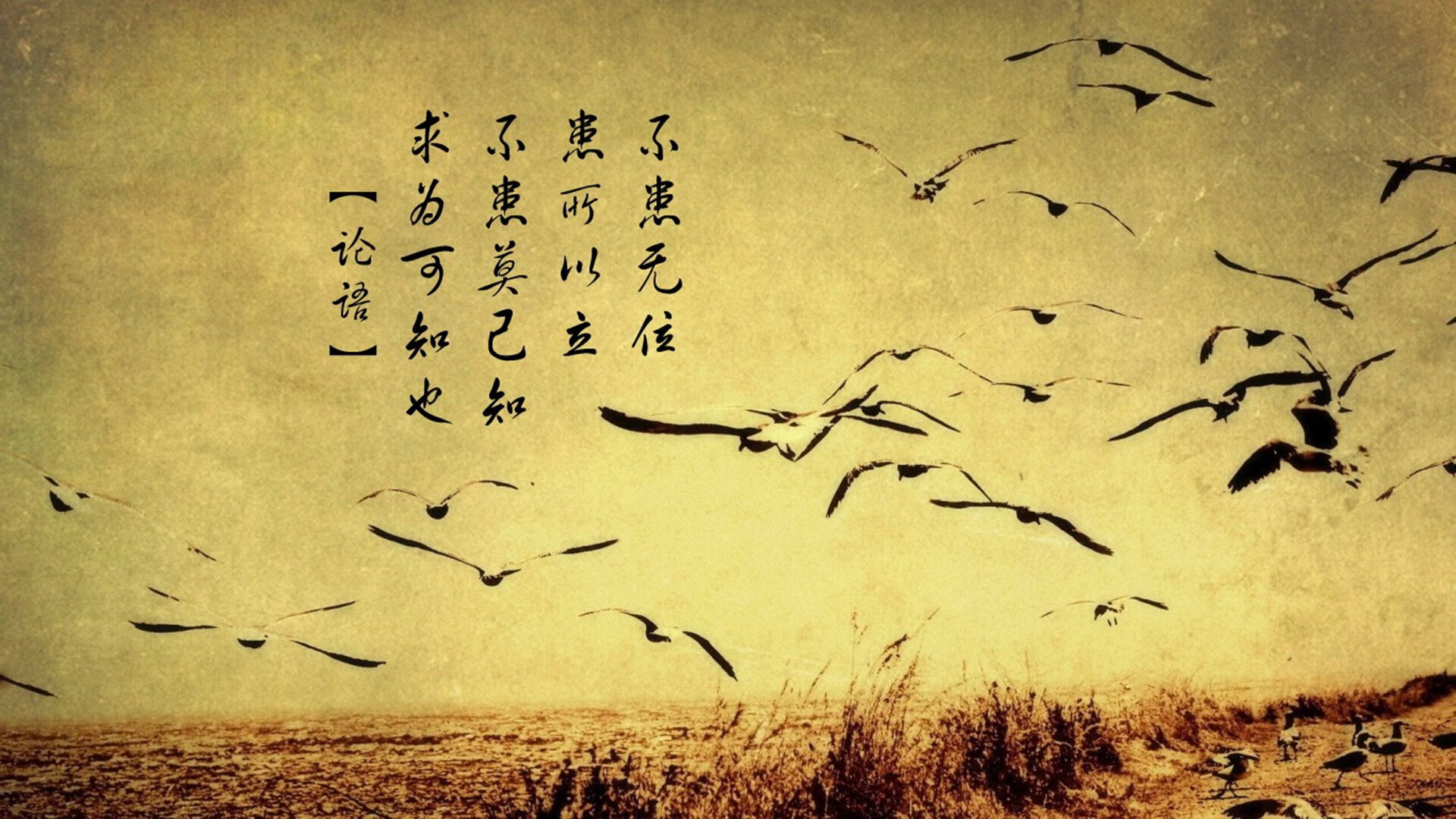 leyu乐鱼在线登录入口-辽宁本钢球队攻守节奏更加合理，辽宁本钢球队图片
