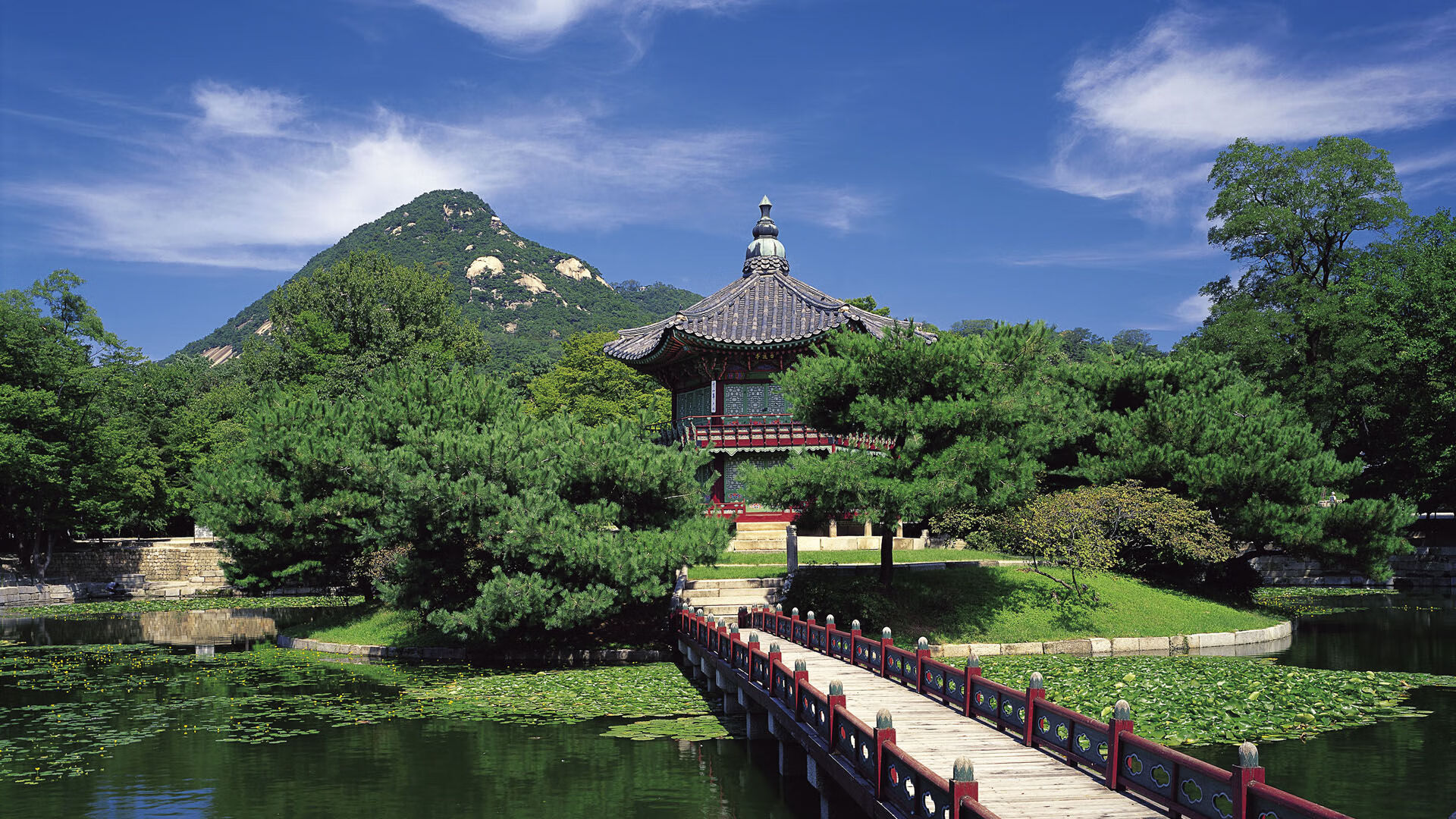 雄鹿翻盘热火，季后赛首轮中字母哥篮下统治全场，雄鹿公布字母哥