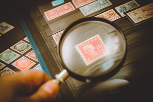 leyu乐鱼在线登录入口-五大联赛是否将球员切线意识列入基础战术素养评估，五大联赛球员进球排名