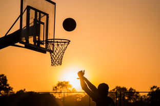 乐鱼（中国）体育官方网站-扣篮最多的球员谁是飞天巨星，nba扣篮最多的球员