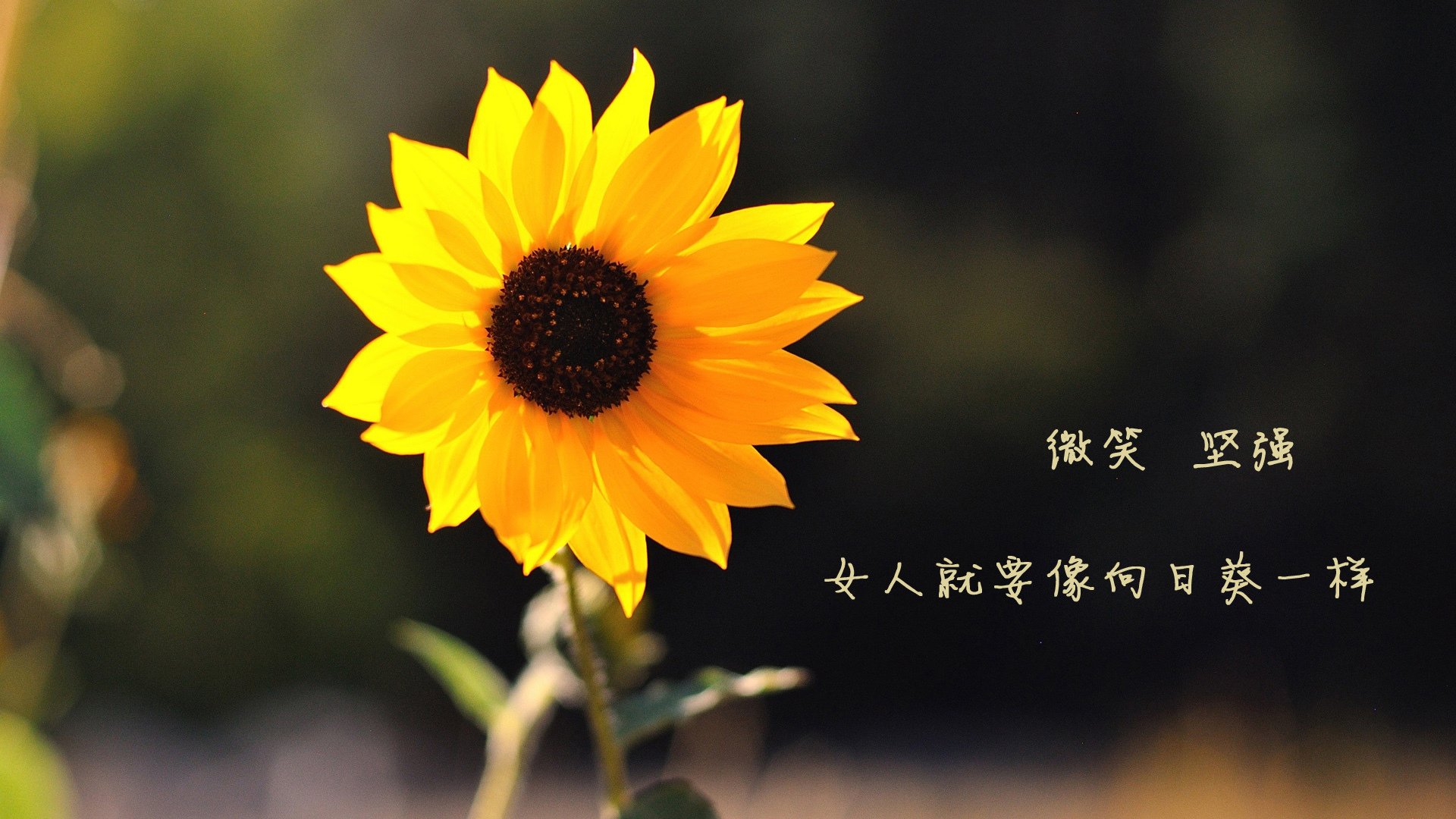 乐鱼体育平台app下载-卢卡·乌兰多：挑战就是前进的动力，卢卡和罗兰